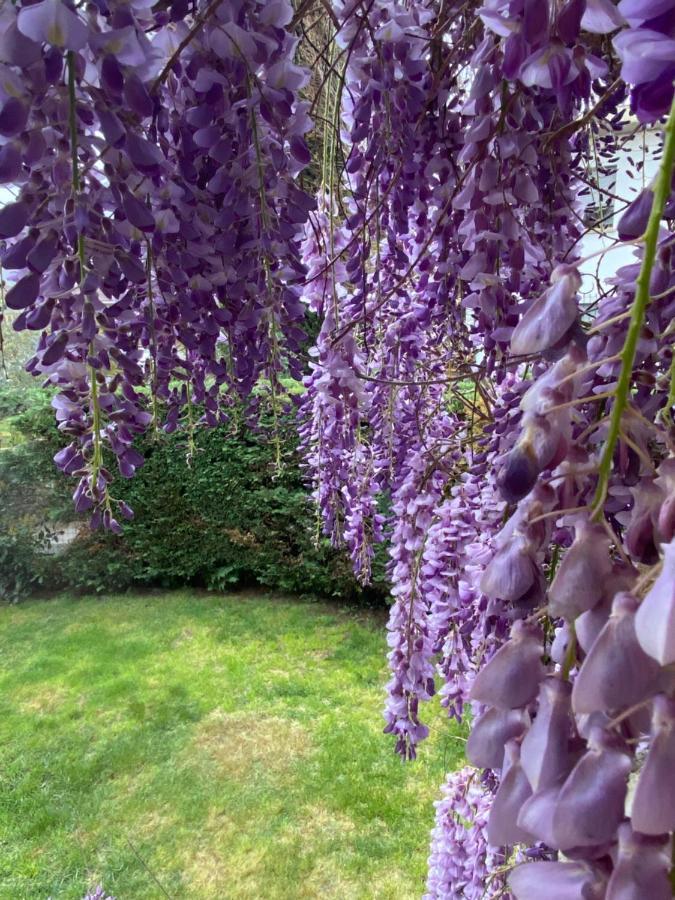 B&B Fior Di Toscana Serravalle Pistoiese Luaran gambar